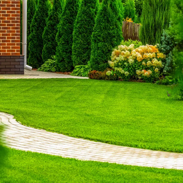Lawn maintenance